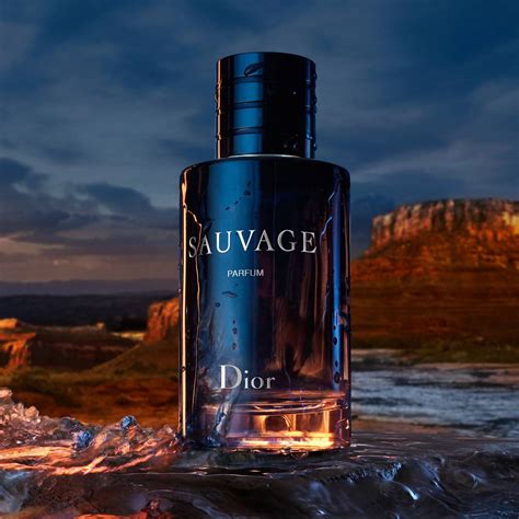 dior eau savauge|dior sauvage 100ml best price.